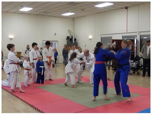 Randori with Gemma and Sam photo