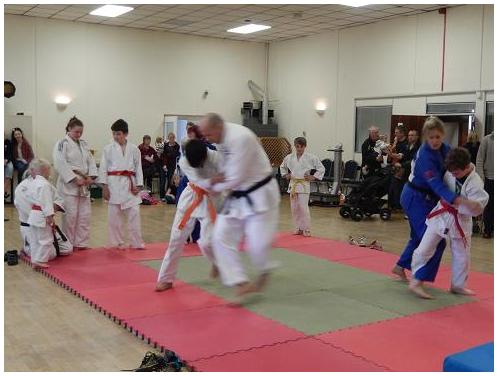 Randori with Gemma and Sam photo