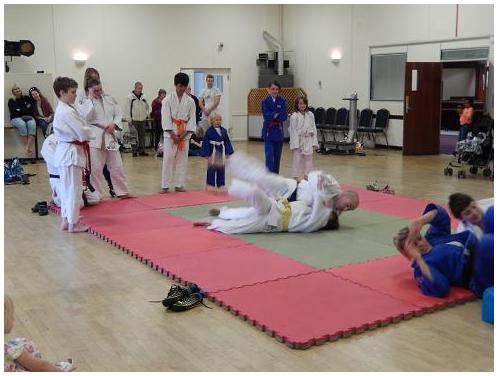 Randori with Gemma and Sam photo