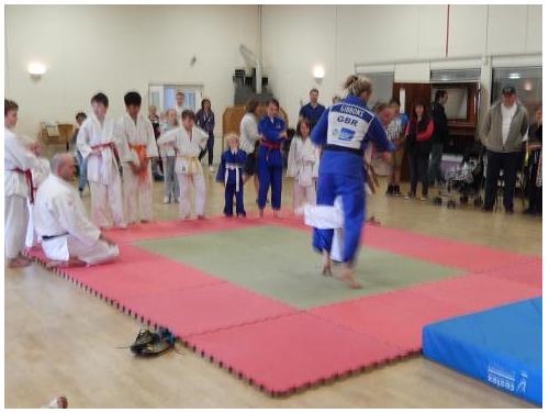 Randori with Gemma and Sam photo