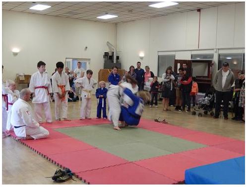 Randori with Gemma and Sam photo